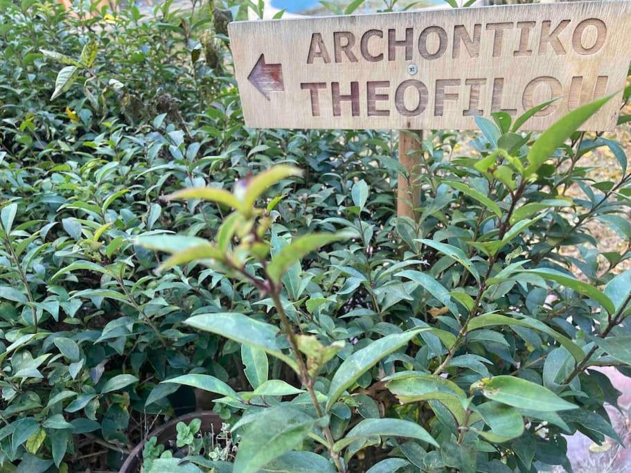Archontiko Theofilou #2 With Private Parking Space Διαμέρισμα Θεσσαλονίκη Εξωτερικό φωτογραφία